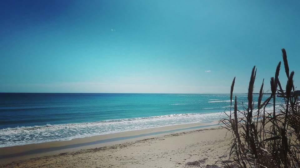 La Gioia Di Sicilia B&B อาโวลา ภายนอก รูปภาพ